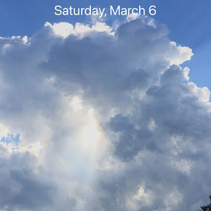 Meet your Posher, Henry